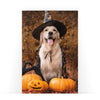 Biglietto Classico Halloween SCARY GOLDEN RETRIEVER