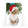 Biglietto Classico Natale CUTE CAT CHRISTMAS